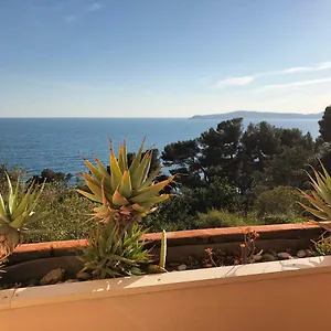 Luxurious Sea View Apartment